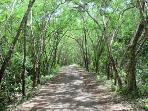 chemin bucolique ?!