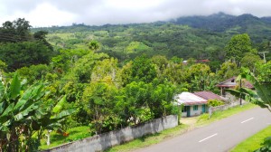 toujours depuis la guesthouse