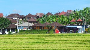 village de Jatiluwih