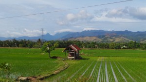 sur la route de Takengon...