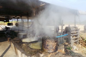 fabrication sucre de canne
