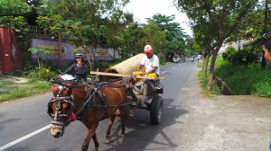 3 - lombok (36)