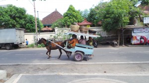 3 - lombok (49)