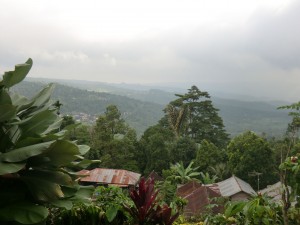 vue depuis la chambre