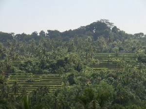 4 - bali (21)