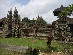 4 - bali (8)