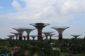 forêt de supertrees