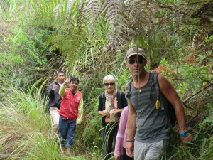 dans la jungle de mamasa