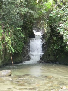 cascade minuscule qui nous a valu 1h de marche!