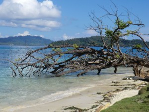 Malengue depuis sa plage