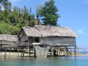 un petit village Bajo