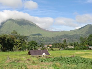 le Lokon