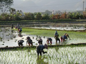 travail millénaire...