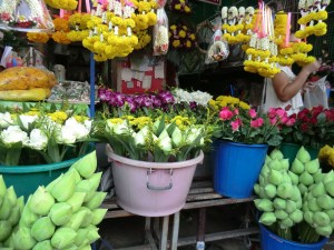 fleurs de lotus et offrandes