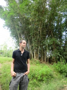 seuls les bambous sont plus grands