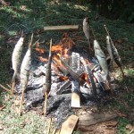 barbecue de poissons