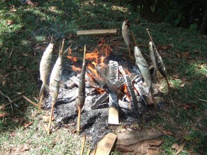 barbecue de poissons