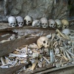 squelettes et vieux cercueil éventré