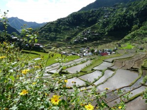 vallée de Batad... Magnifique!!