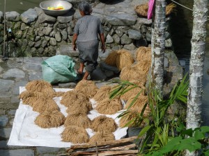 riz qui sèche